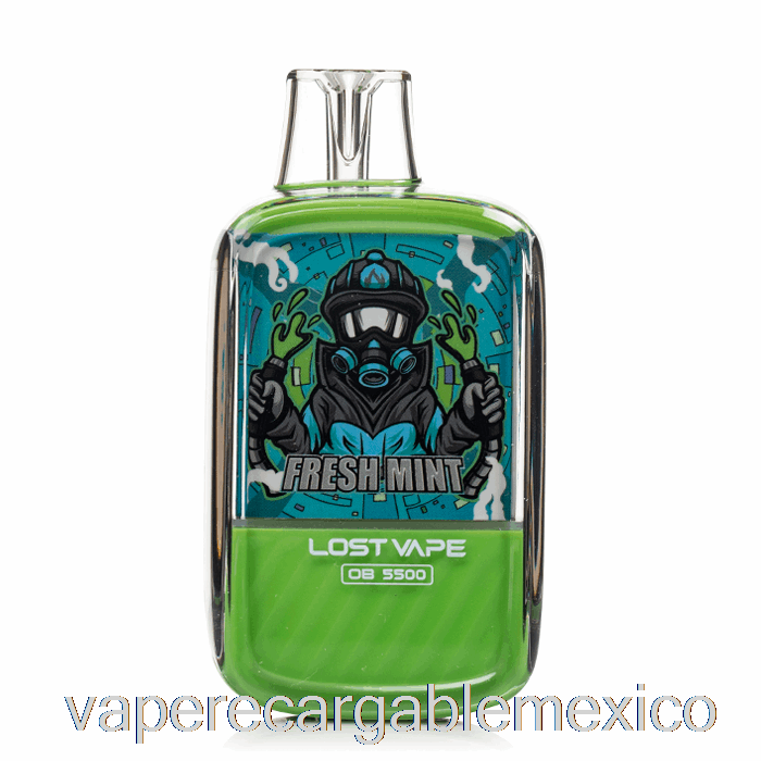 Vape Recargable Perdido Vape Ob5500 Desechable Menta Fresca